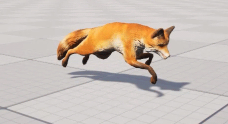 FoxA_.gif